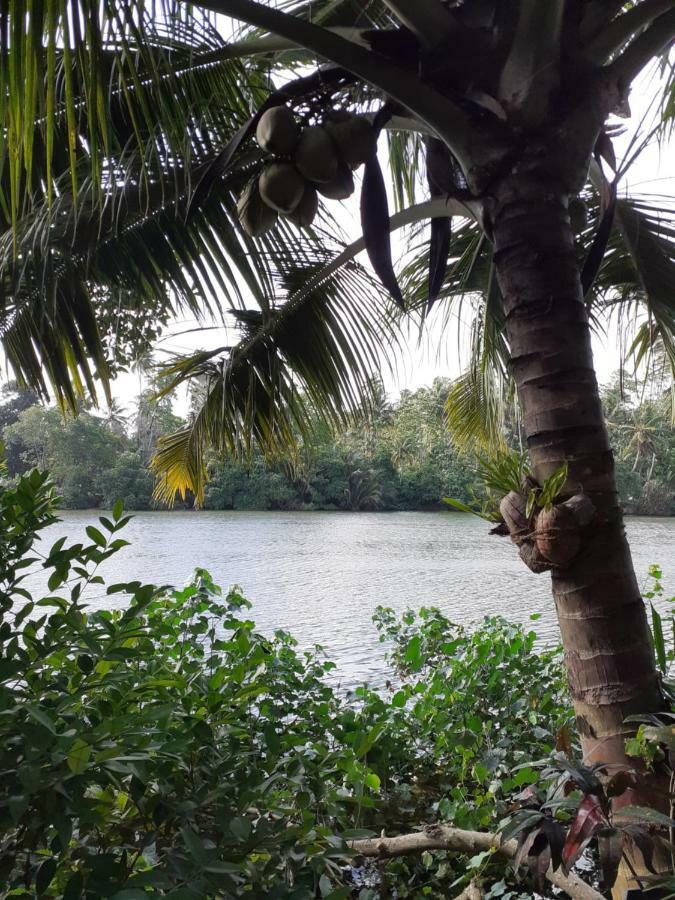 Tinara River Inn, Weligama Exterior photo